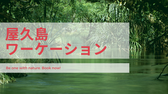 「屋久島 ワーケーション体験記」のアイキャッチ画像
