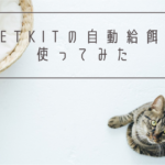 自動給餌器の選び方・PETKITのメリット・デメリット｜猫飼い一人暮らしの長期旅行#1