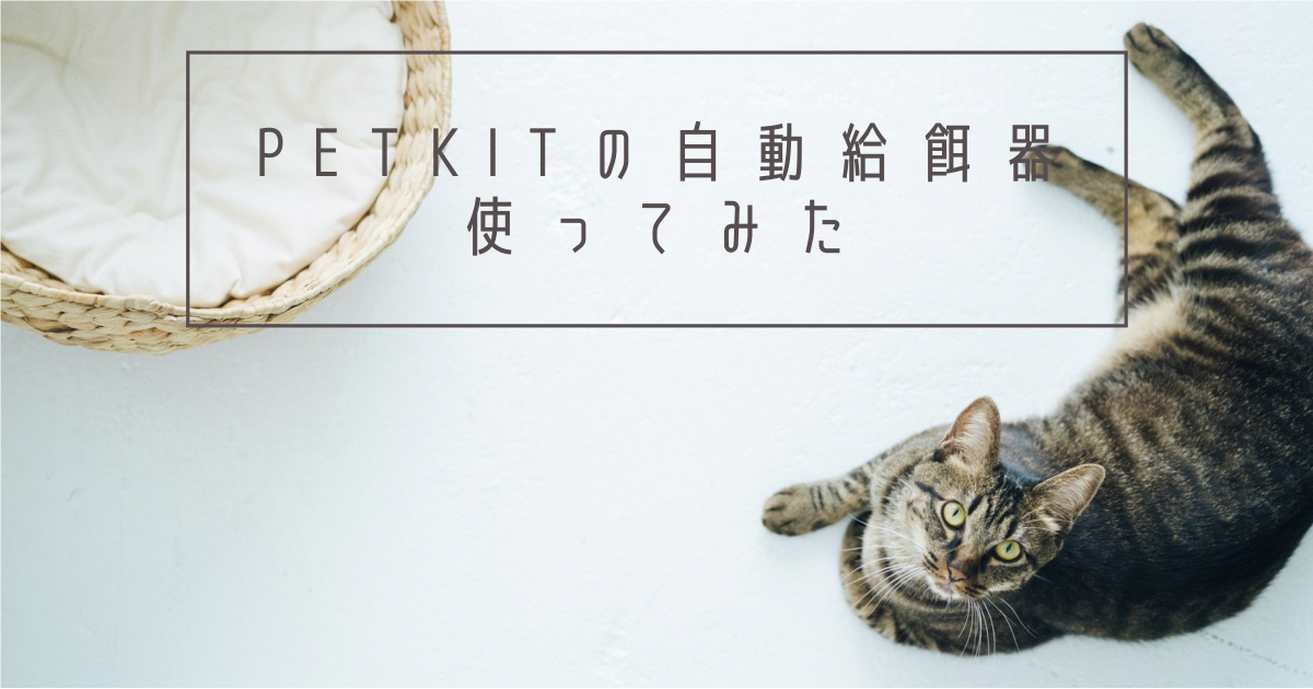 「自動給餌器の選び方・PETKITのメリット・デメリット｜猫飼い一人暮らしの長期旅行#1」のアイキャッチ画像