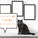 【ペットシッター選び】5つのチェックポイント| 猫飼い一人暮らしの長期旅行#3