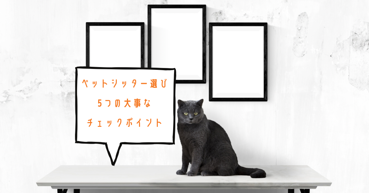 「【ペットシッター選び】5つのチェックポイント| 猫飼い一人暮らしの長期旅行#3」のアイキャッチ画像